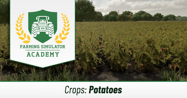 Farming Simulator 22 Potatoes: Complete guide - How to grow, sell