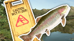 Fish & Chill in Kinlaig! | Highlands Fishing Preview