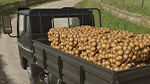 Onions | Highlands Fishing Preview