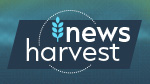 News Harvest | Emergency Pack? Q&A + News aus Riverbend Springs!