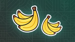 Crop Preview: Bananas | Beans & Alpacas