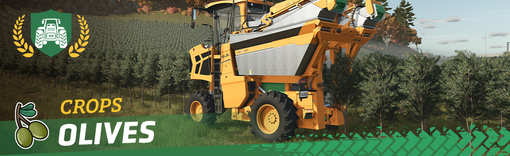 [Crops 101] How to Sow & Harvest Olives