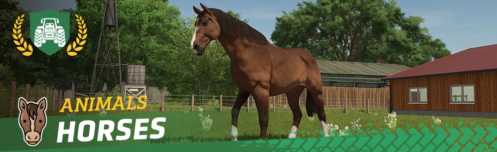 [Animals 101] How to Breed & Care for Horses