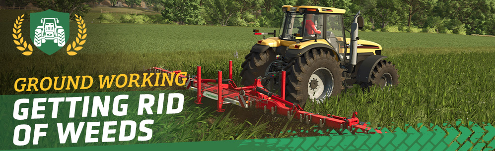 [Ground Working 101] Everything About Weeds