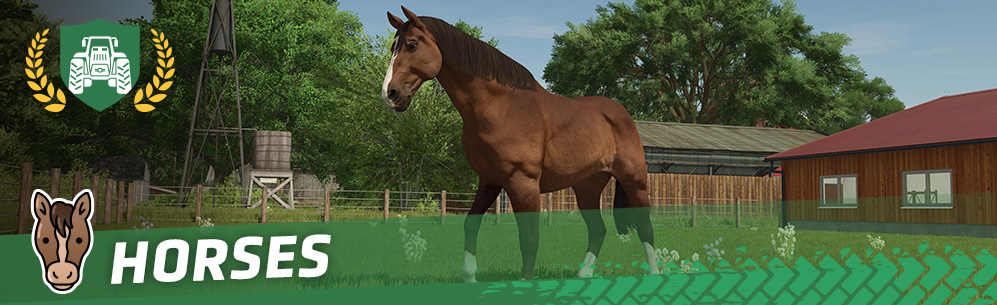 [Animals 101] How To Breed & Care For Horses