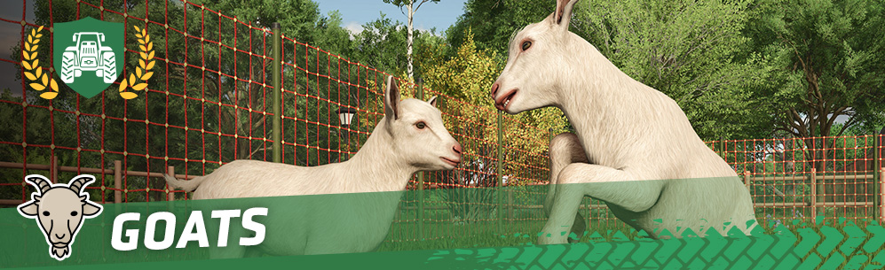 [Animals 101] How To Breed & Care For Goats