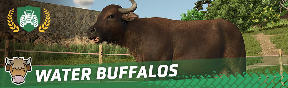 [Animals 101] How to Breed & Care for Water Buffalos