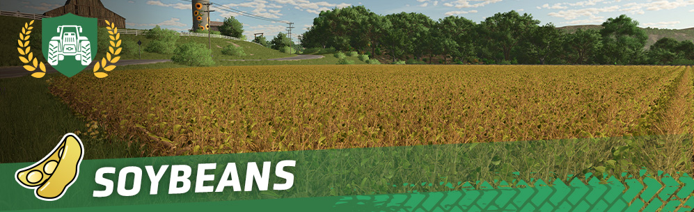 [Crops 101] How To Sow & Harvest Soybeans