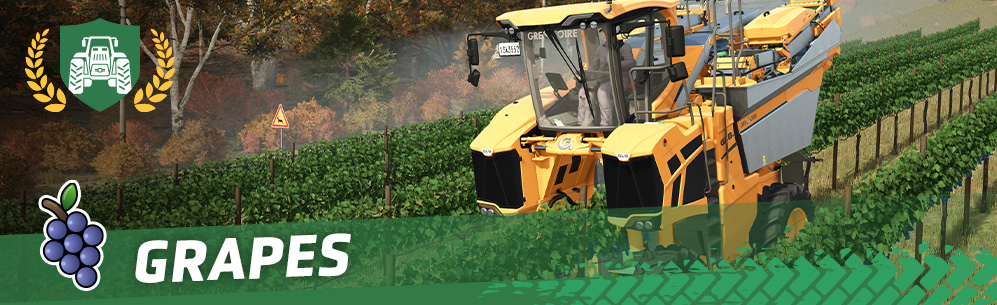 [Crops 101] How To Sow & Harvest Grapes