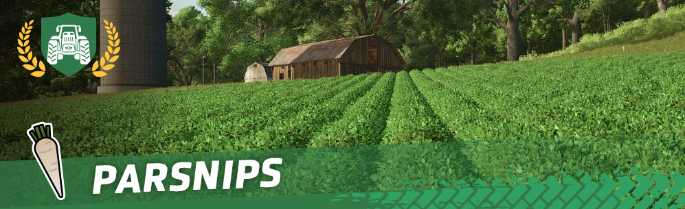 [Crops 101] How To Sow & Harvest Parsnips
