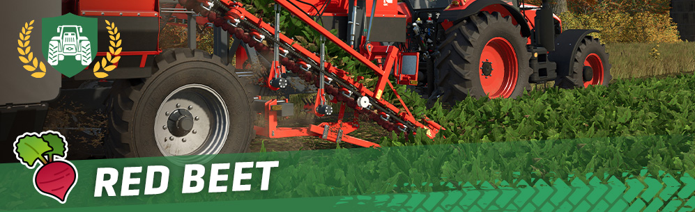 [Crops 101] How To Sow & Harvest Red Beet / Beetroot