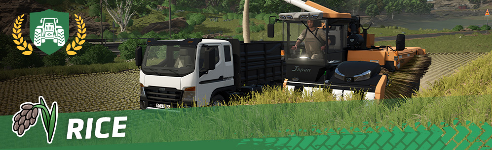 [Crops 101] How To Sow & Harvest Rice