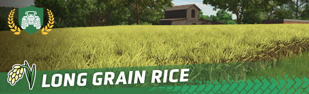 [Crops 101] How To Sow & Harvest Long Grain Rice