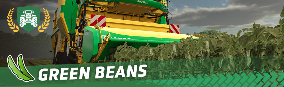 [Crops 101] How To Sow & Harvest Green Beans