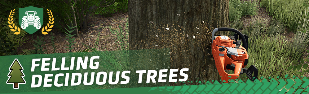 [Forestry 101] How To Fell Trees: Deciduous