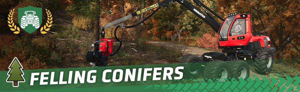 [Forestry 101] How To Fell Trees: Conifers