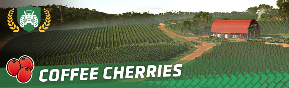 [Crops 101] How To Cultivate Coffee Cherries